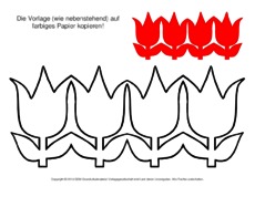 Leporello-Tulpe-Ausschneidemotiv.pdf